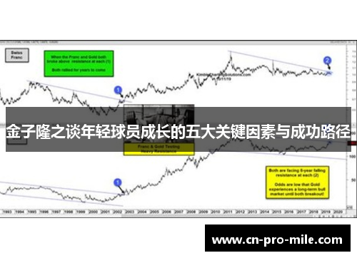 金子隆之谈年轻球员成长的五大关键因素与成功路径