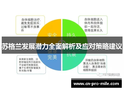 苏格兰发展潜力全面解析及应对策略建议