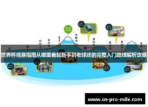 世界杯观赛指南从哪里看起新手到老球迷的完整入门路线解析攻略